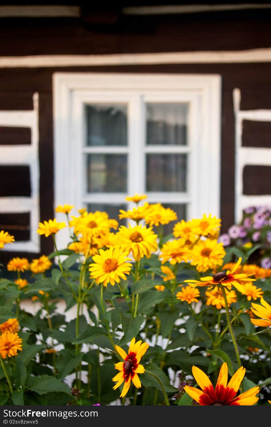 The old window with flowers