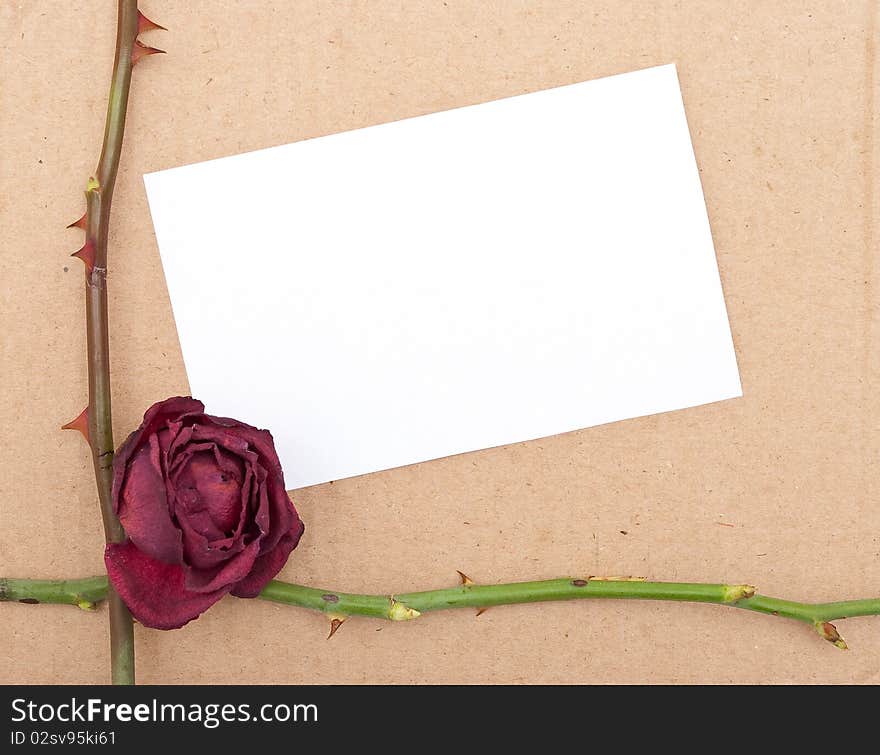 Dry rose with card on cardboard background