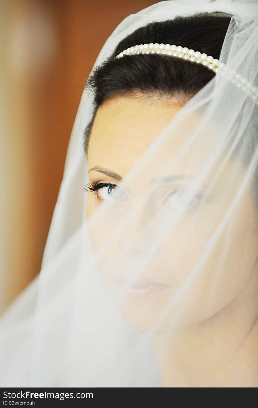 Studio portrait of beautiful stylish bride. Studio portrait of beautiful stylish bride