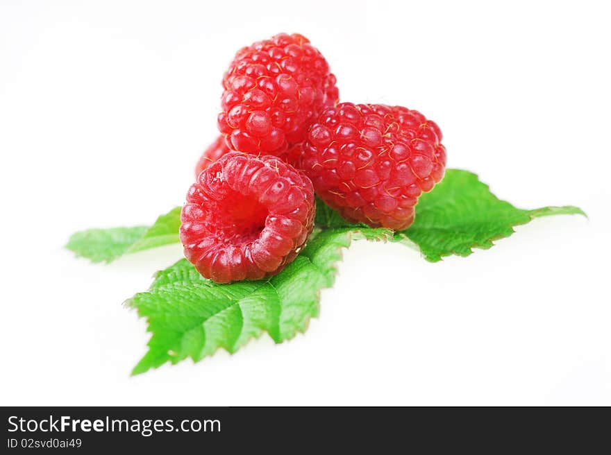 Ripe red raspberries