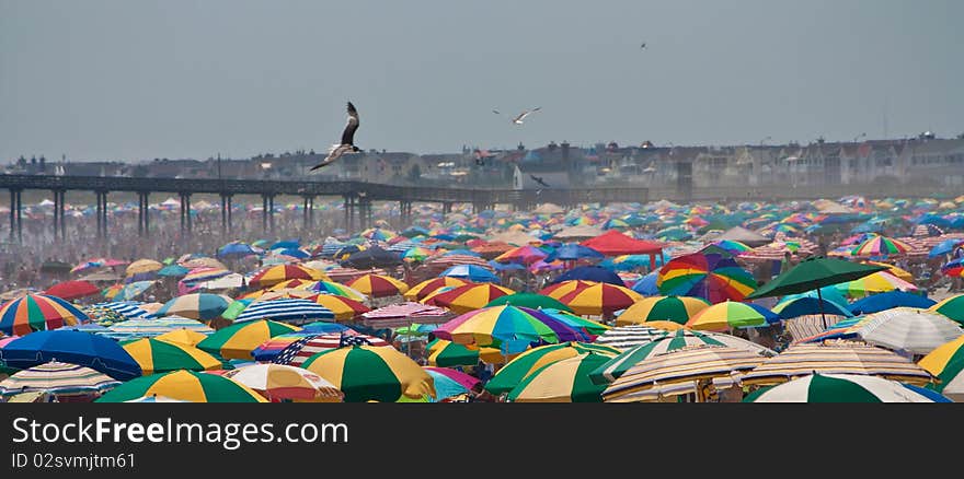 Beach crowded with umbrellas on a hot sweltering day. Beach crowded with umbrellas on a hot sweltering day