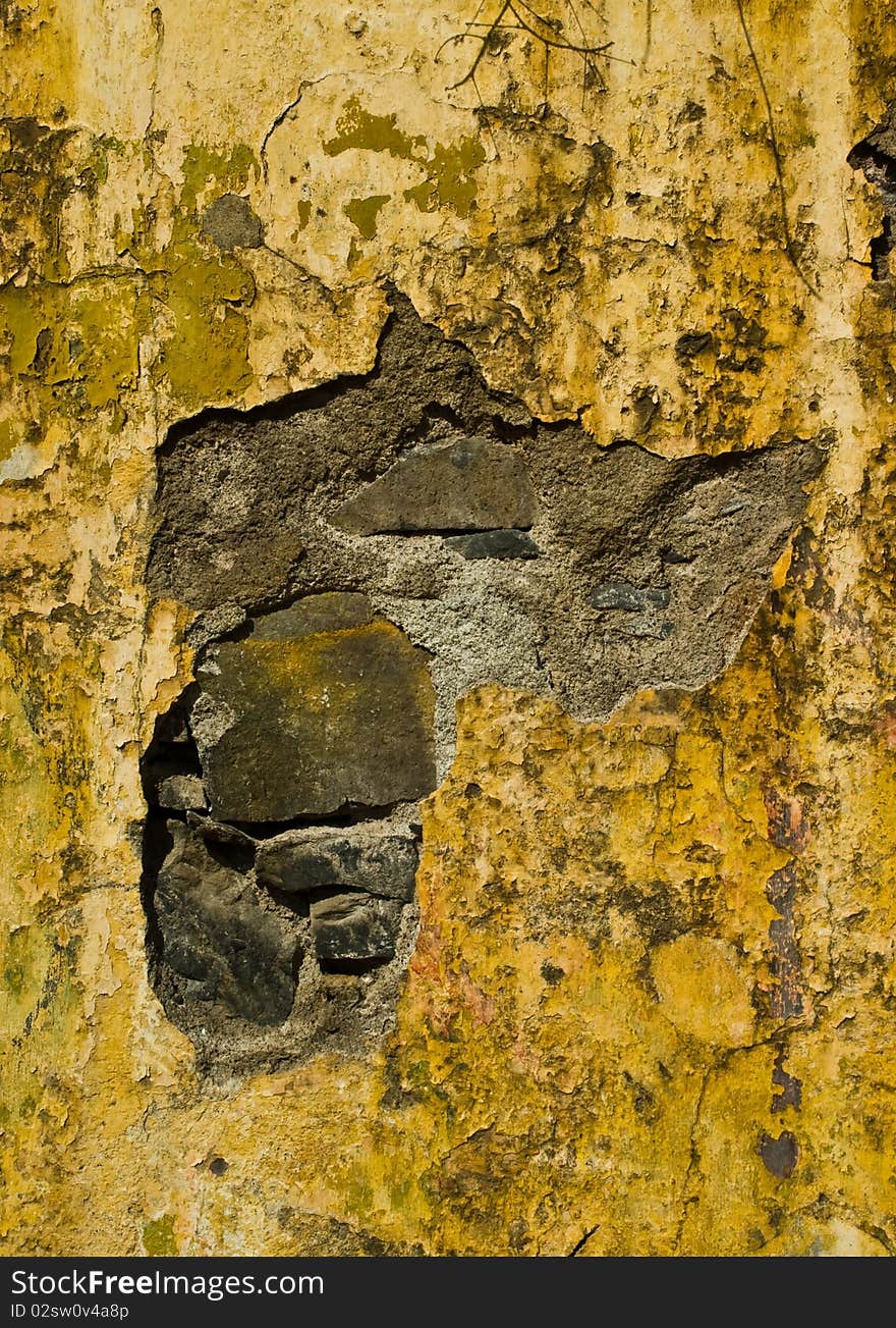 Closeup of an old wall taken on Madeira, Portugal.