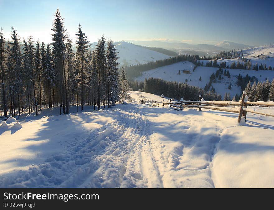 A frosty and sun day is in mountains. A frosty and sun day is in mountains