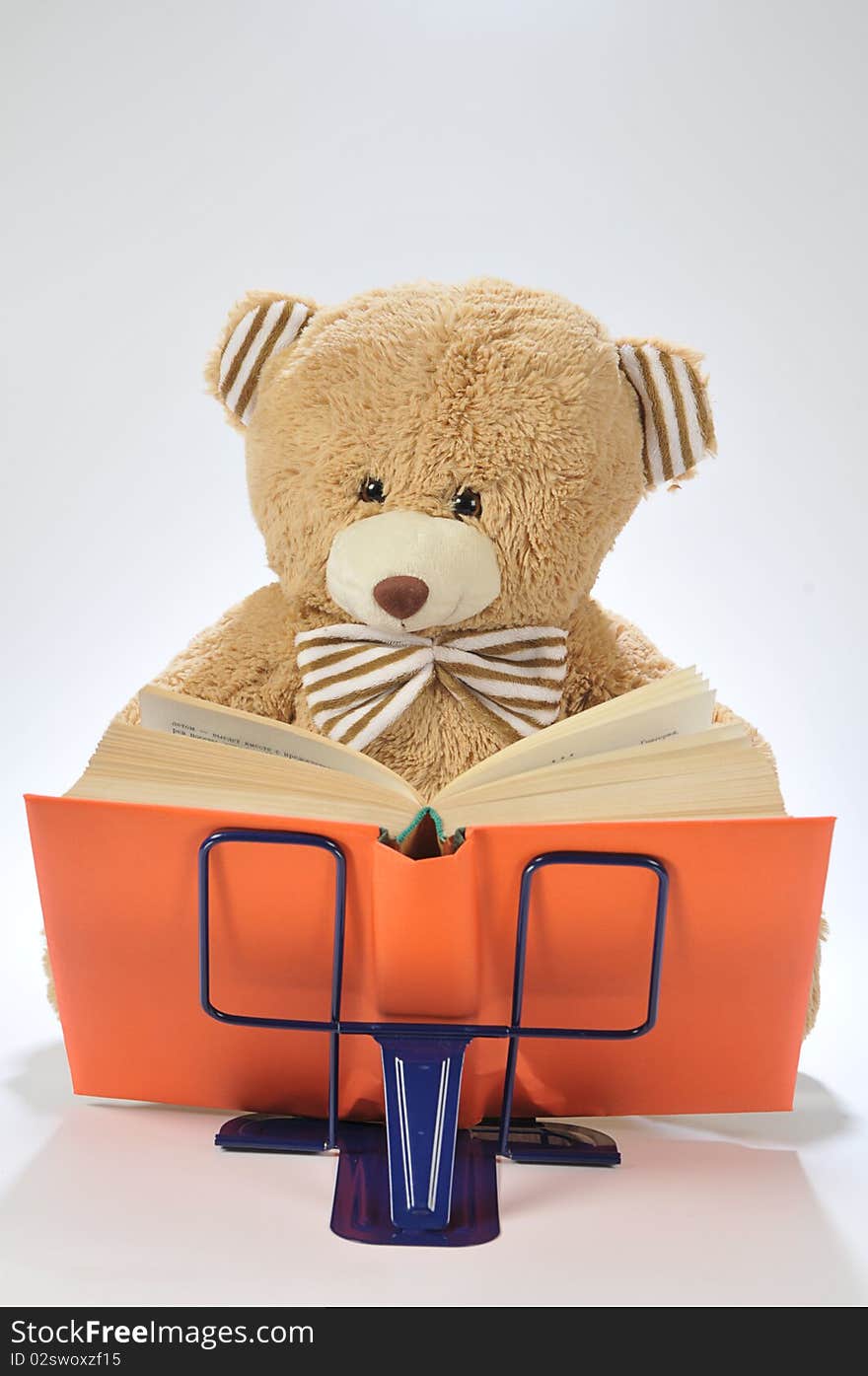 Stuffed Bear Reading A Book