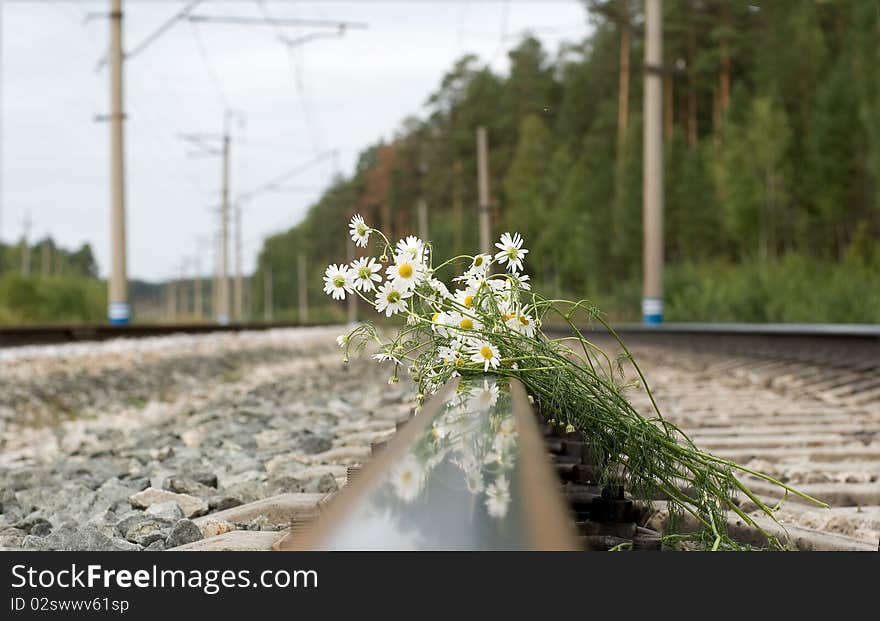 The bouquet of white chamomiles lies on railway rails. The bouquet of white chamomiles lies on railway rails