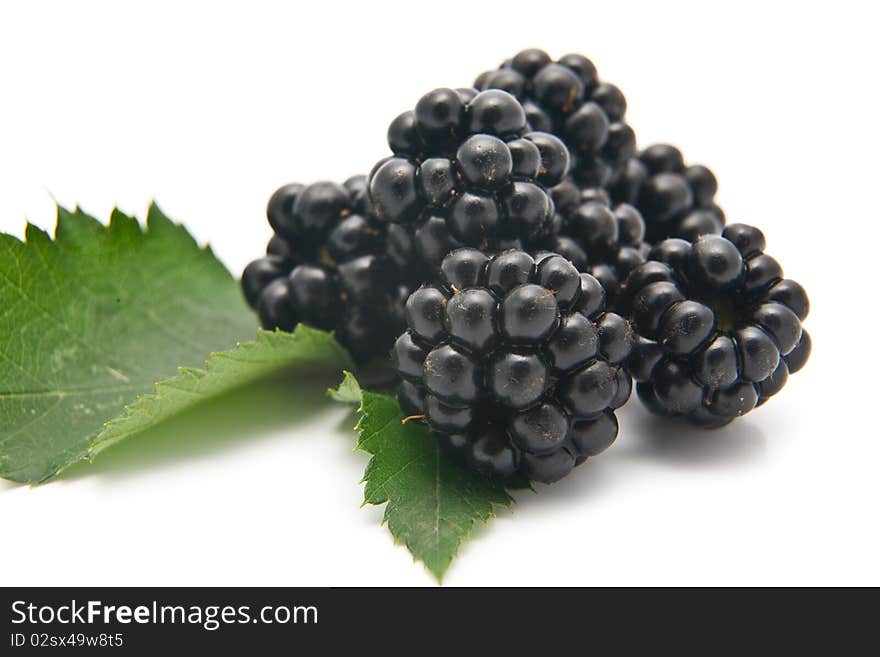 Berries of ripe blackberry