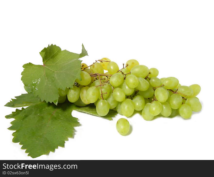 Bunch of grapes isolated on white background