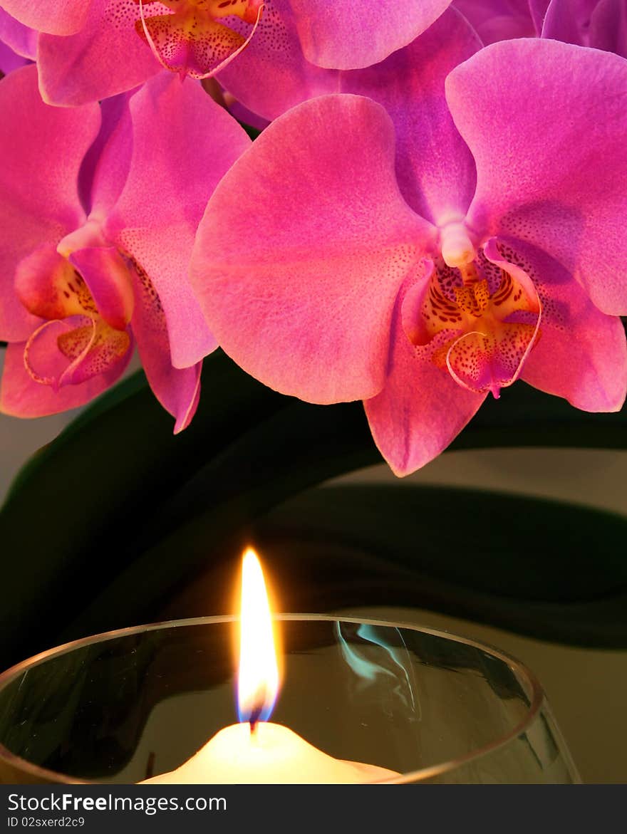 A candle burns and casts light onto an orchid bloom. A candle burns and casts light onto an orchid bloom