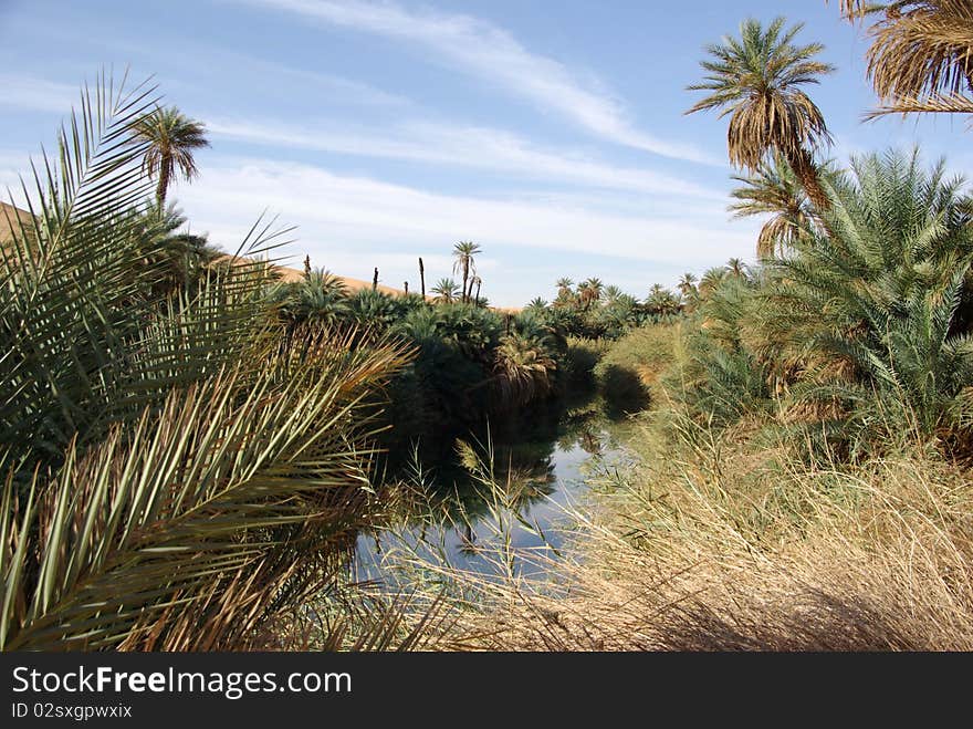 Oasis in the desert of Libya, in Africa. Oasis in the desert of Libya, in Africa