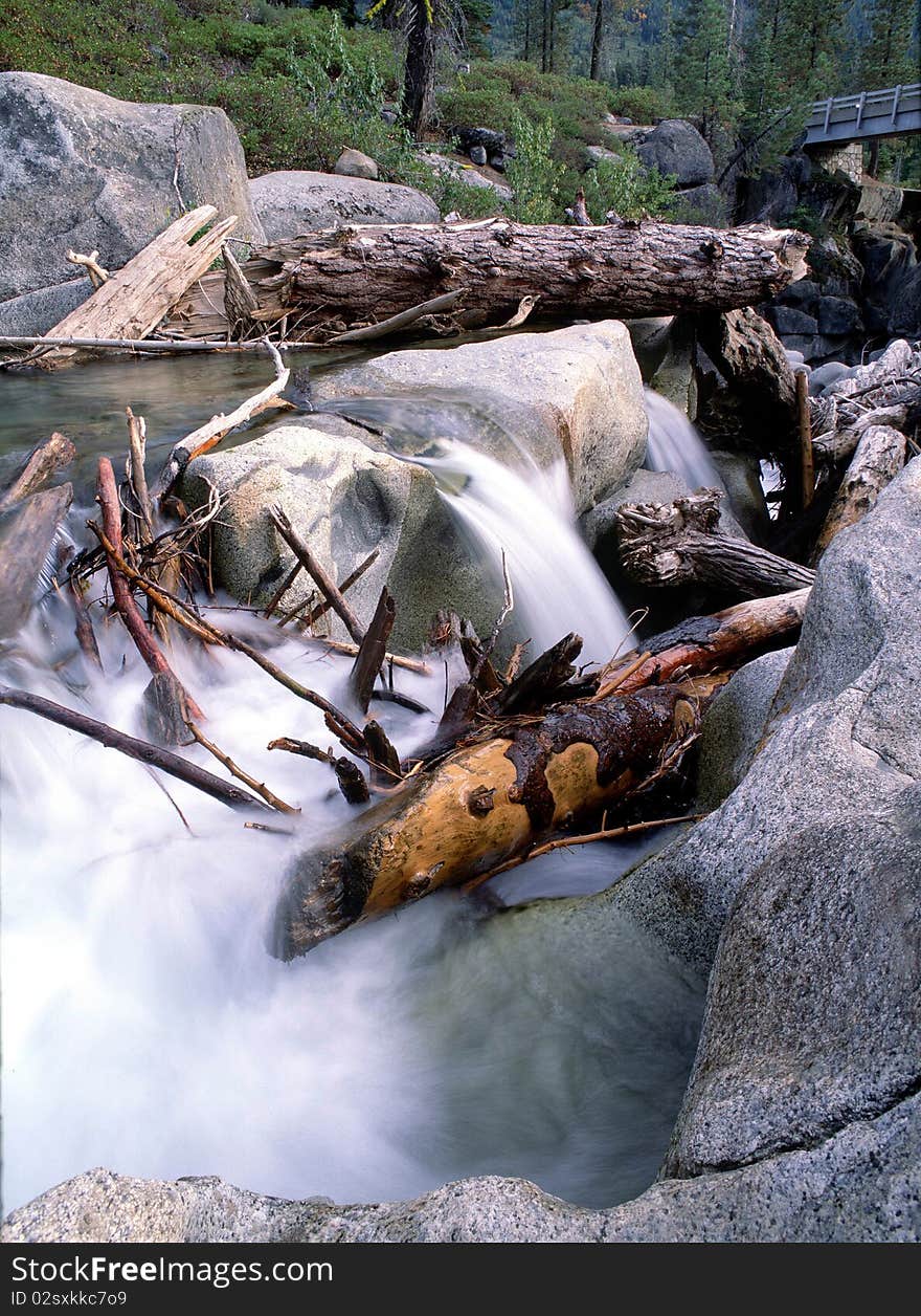 Fallen trees in a river. Fallen trees in a river