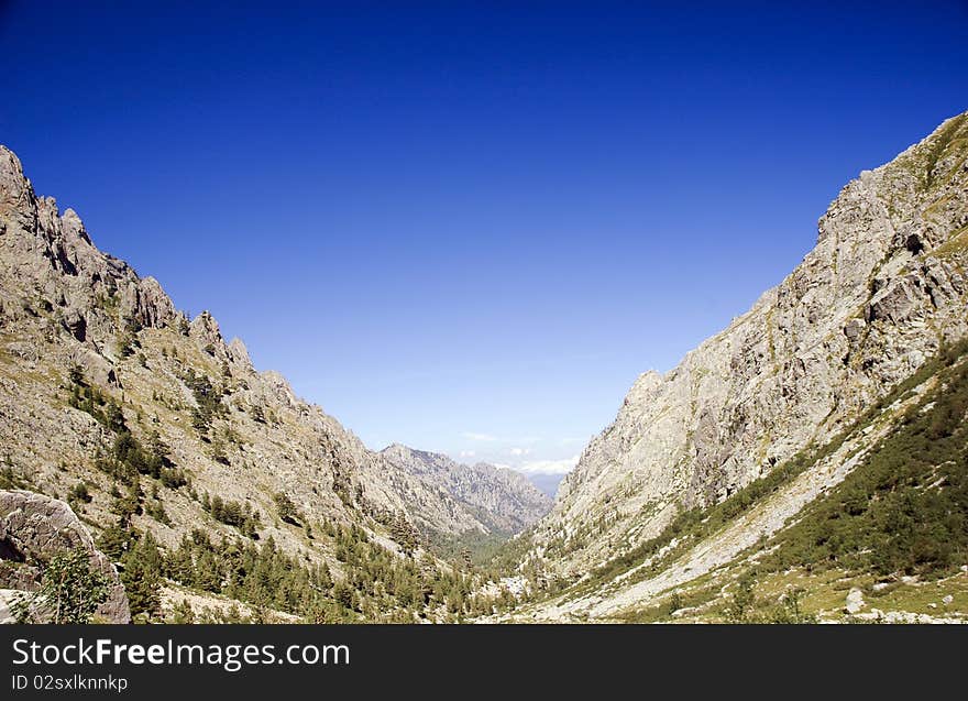 European mountain valley with pine trees