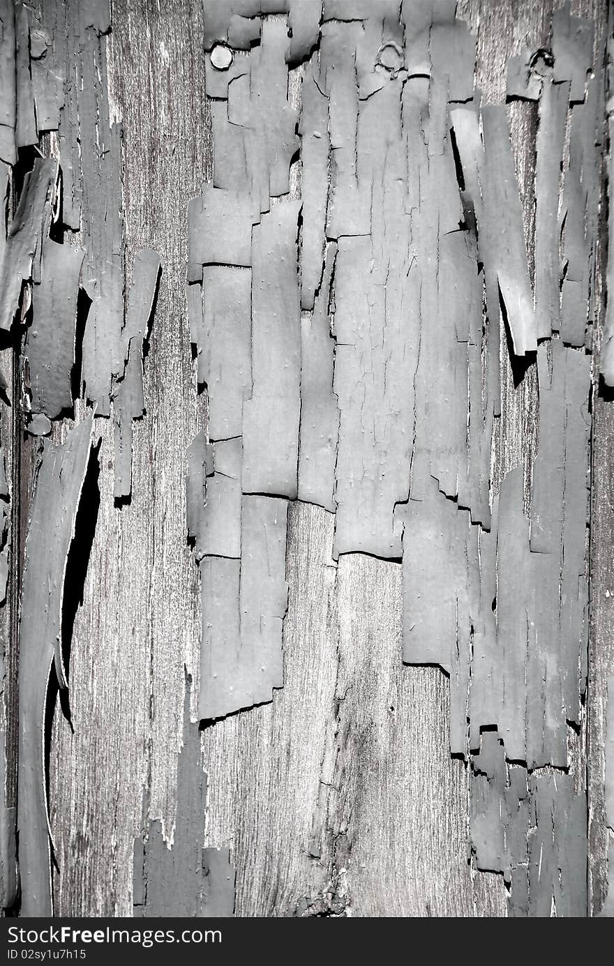 Black & White peeling paint