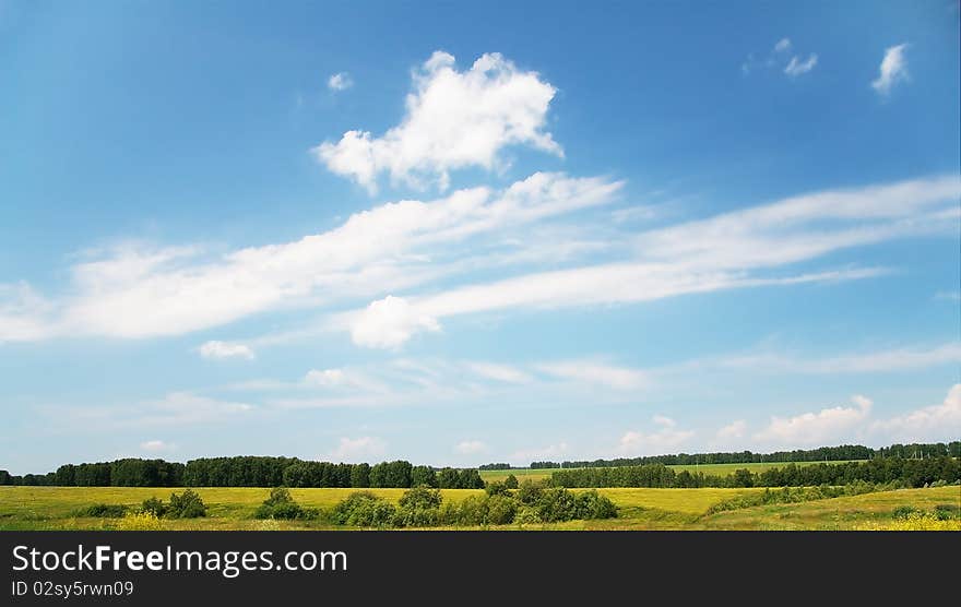 Summer landscape