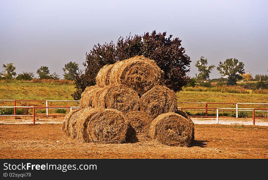 Round Bale's hay stack in nature