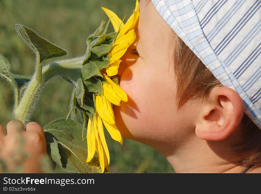 The young boy with sunflower