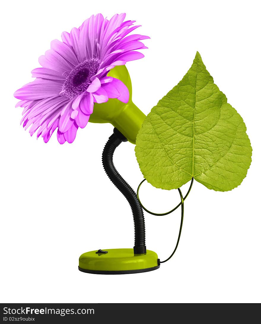 Green desk-lamp with leaf and pink gerbera isolated on white background