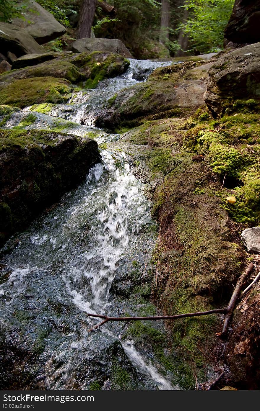 Waterfall In Woods