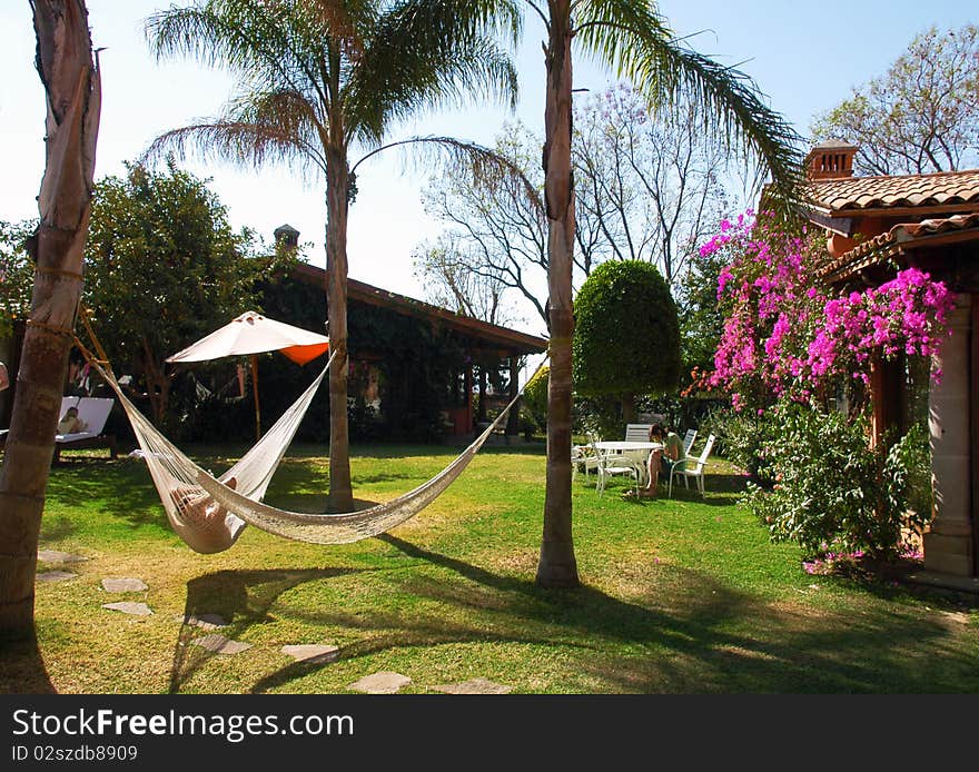 Hammock between palms