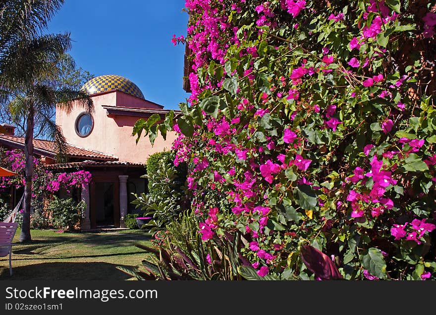 Luxury hotel with garden full of trees and flowers. Luxury hotel with garden full of trees and flowers