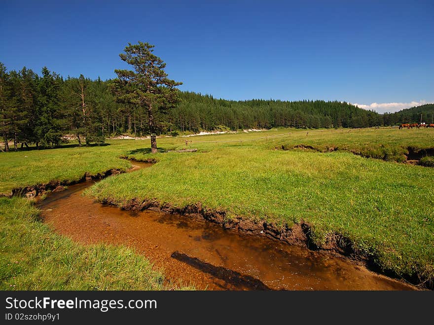 Peaceful river scene