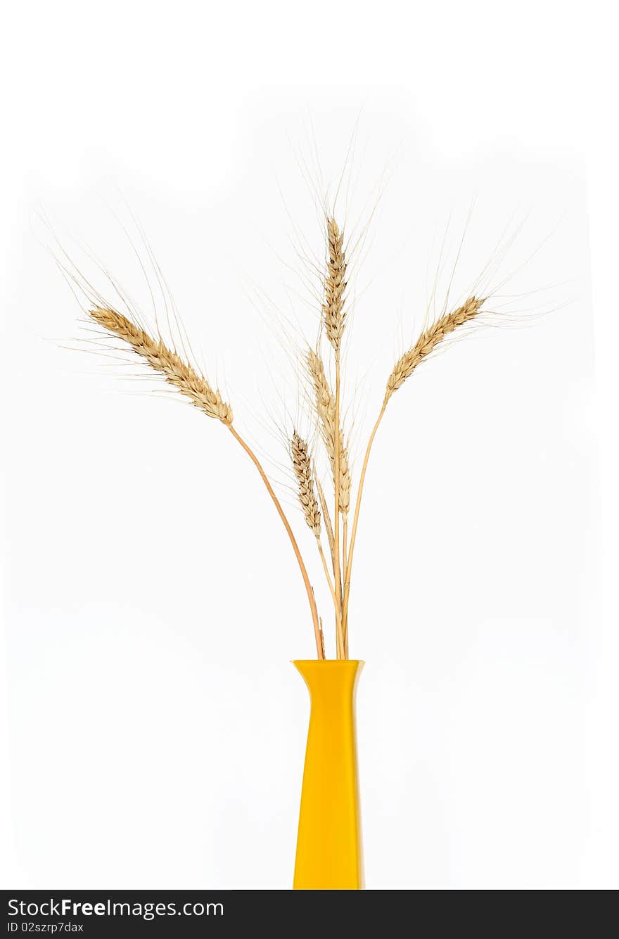 Wheat In Vase