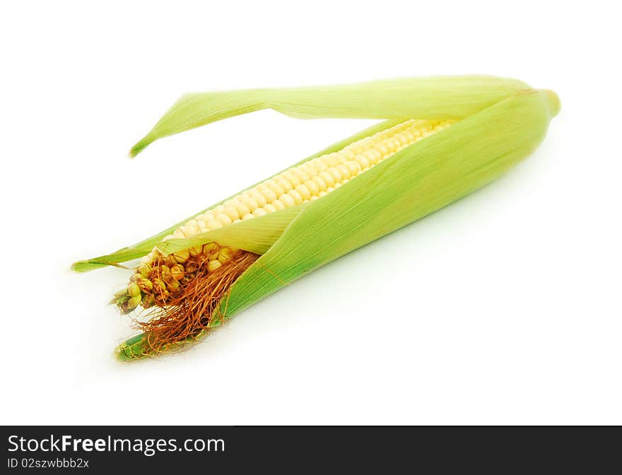 Corn detail isolated on white. Corn detail isolated on white