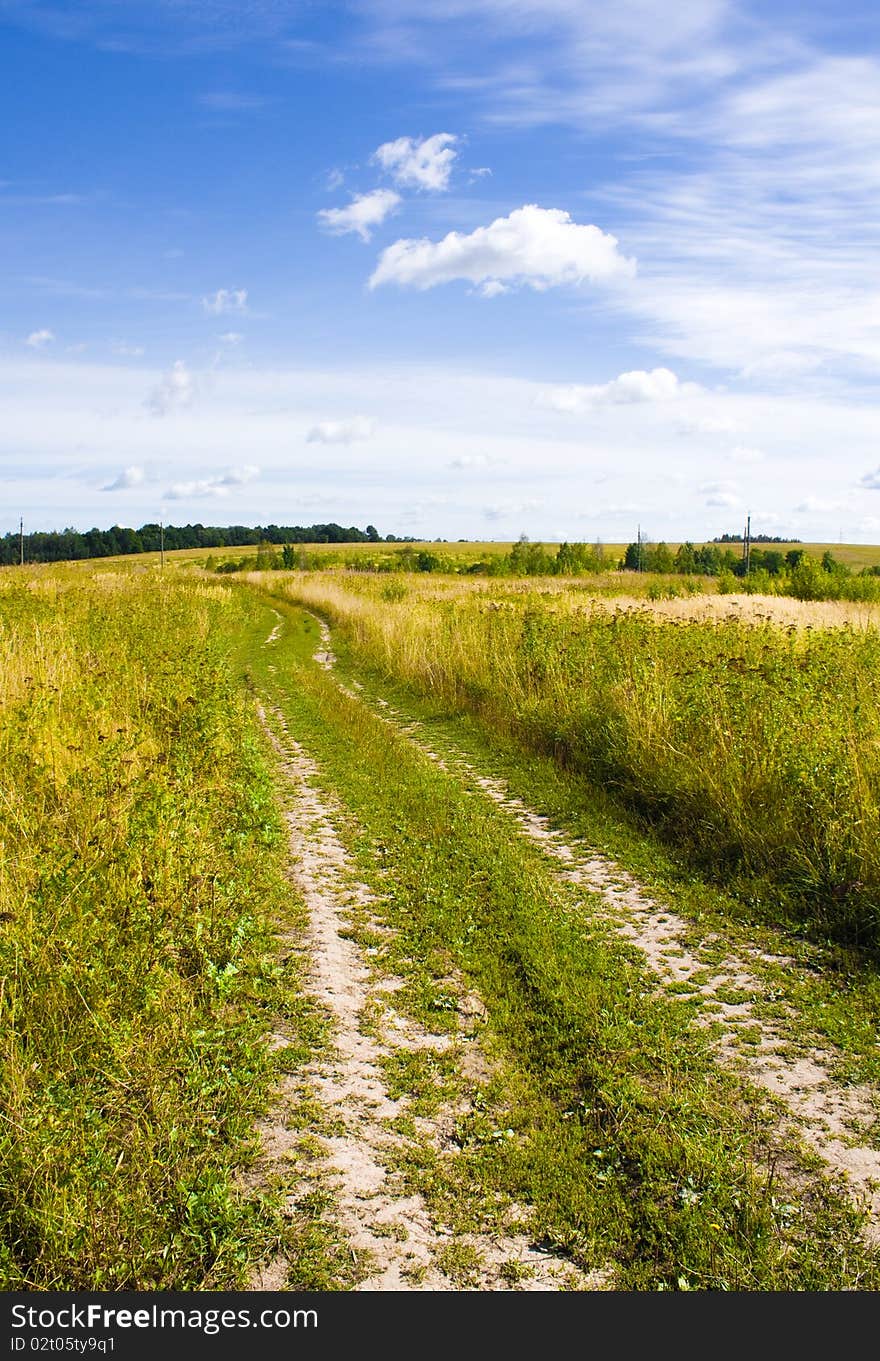 Road In Field