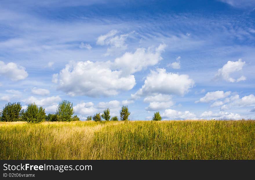 Wild landscape