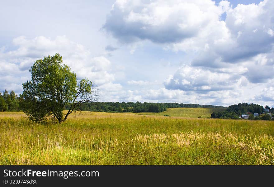 Rural landscape