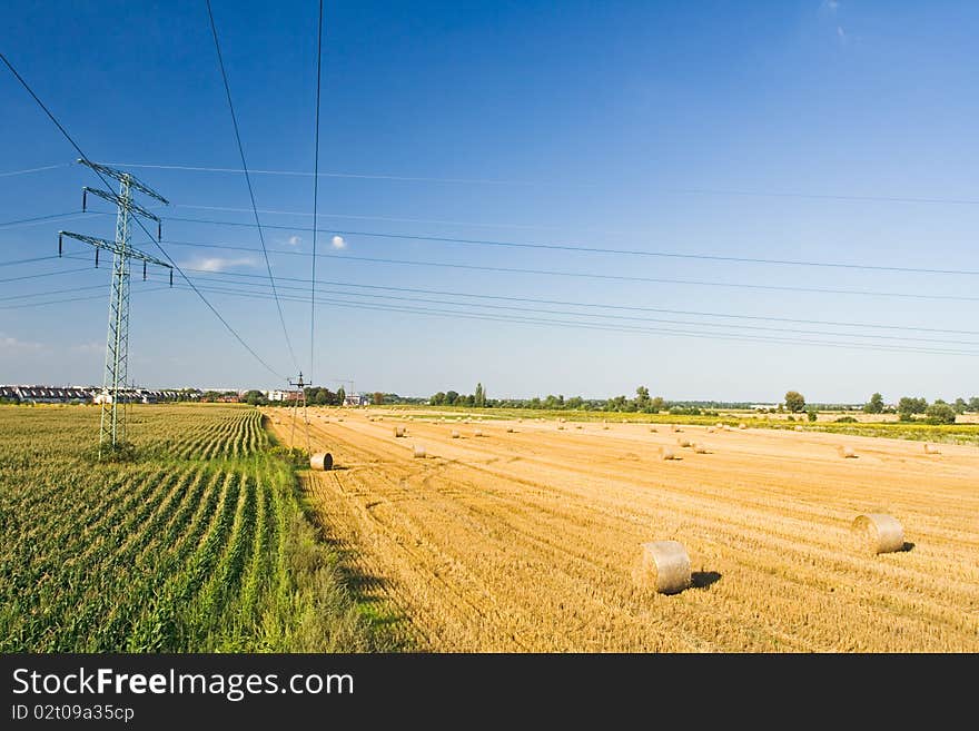 Straw rolls on summer field in village, country landscape. Straw rolls on summer field in village, country landscape