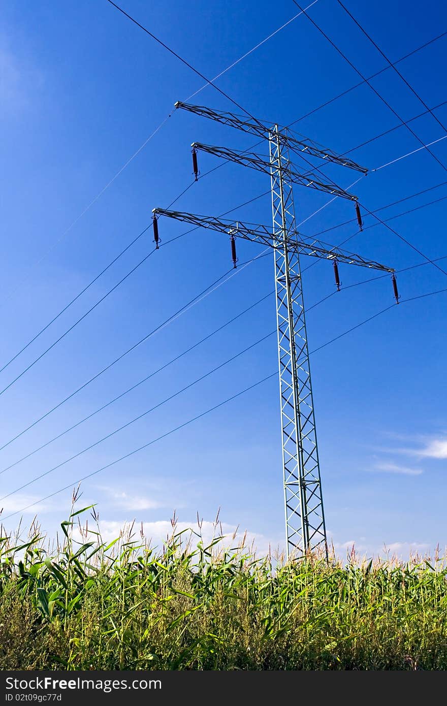 Electrical pylon and power lines, cables, wires and blue sky with corn field. Electrical pylon and power lines, cables, wires and blue sky with corn field