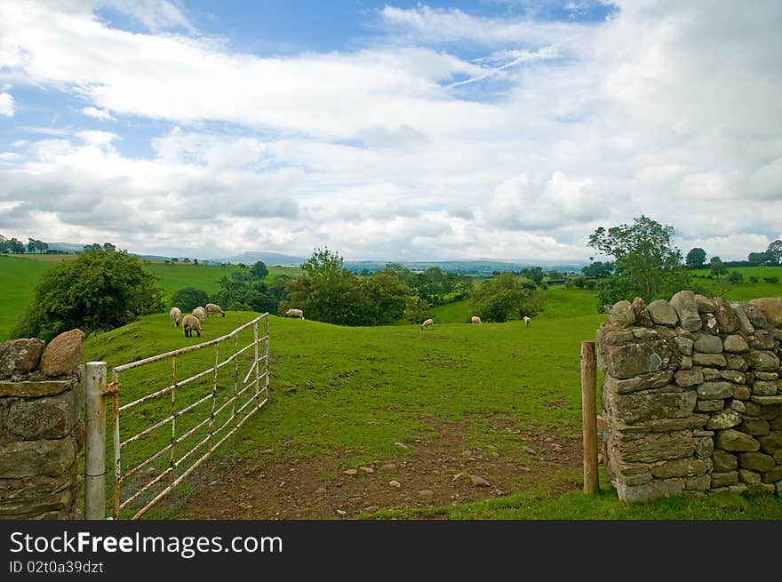 Through The Farmgate