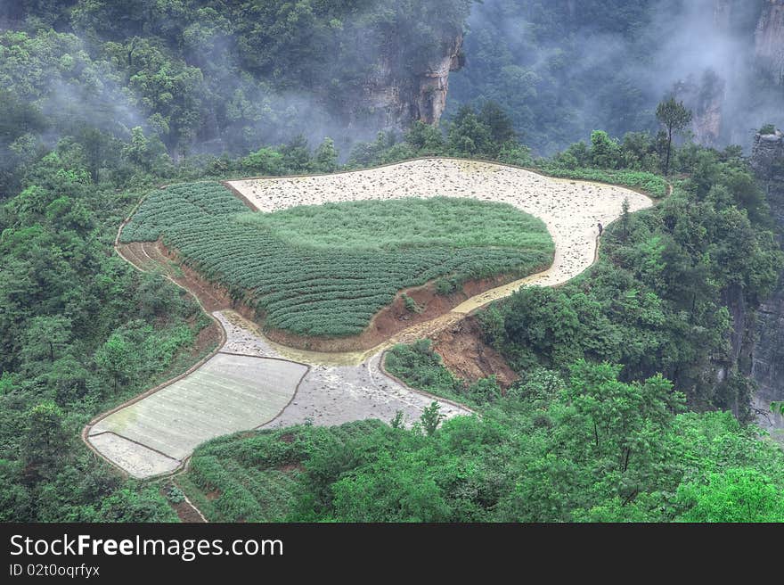 Zhangjiajie National Park, Sky Farmland