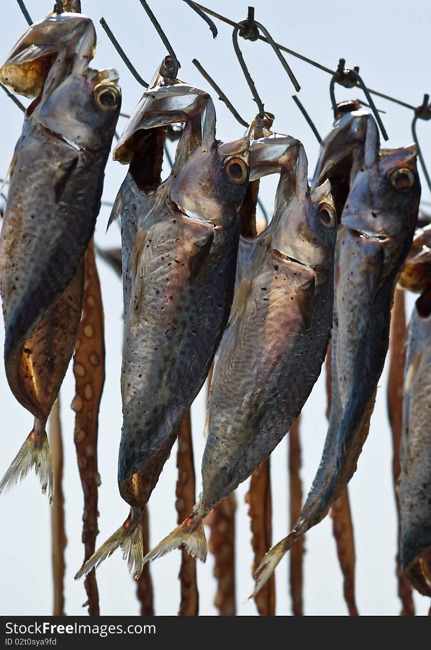 Drying fish on the sun, taken on Thasos Island, Greece.