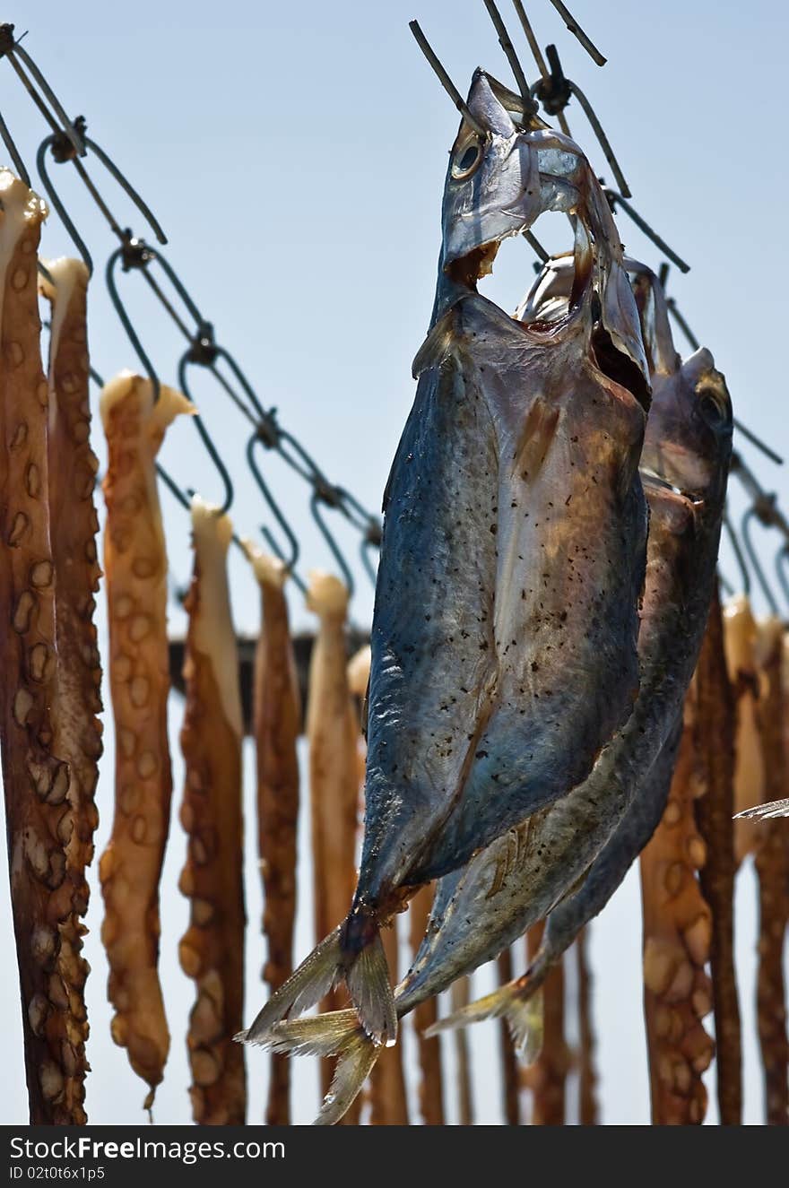 Drying fish on the sun, taken on Thasos Island, Greece.