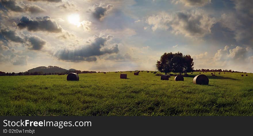 Look at the fields in summer