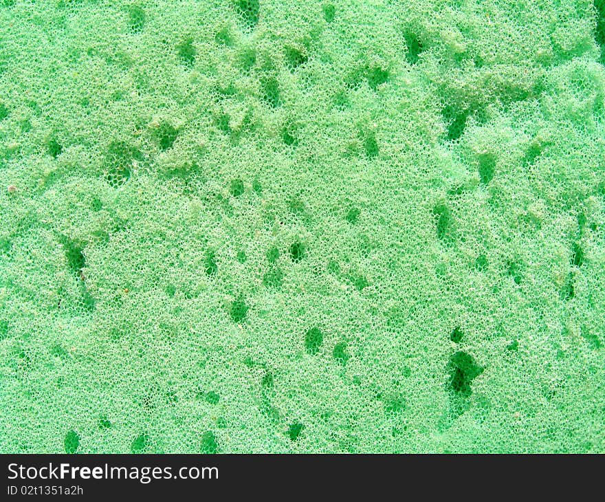 Detail photo texture of the green sponge background. Detail photo texture of the green sponge background