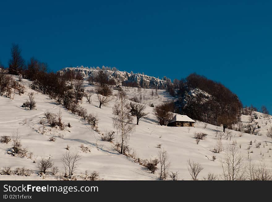 Winter Landscape