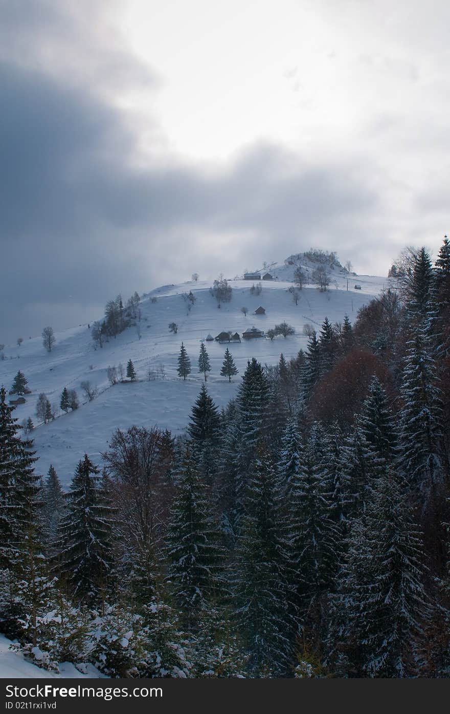 Winter Landscape in mountains with forest