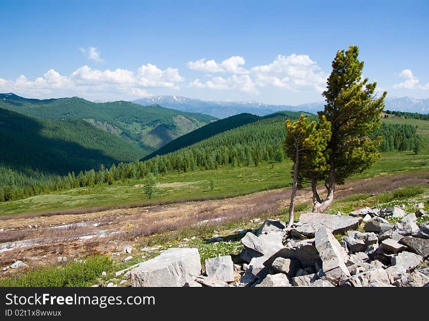 Beautiful mountain nature, Altay region