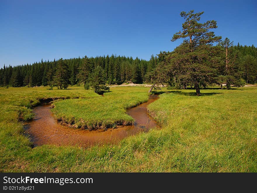 Peaceful River Scene