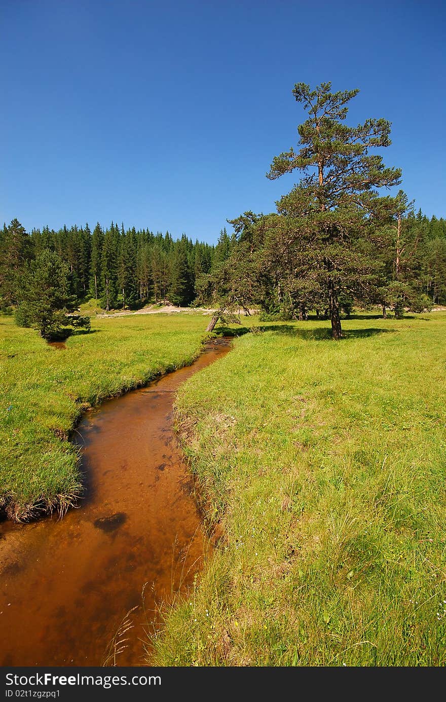 Peaceful river scene