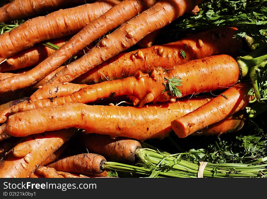 A bunch of carrots for sale in a farmer's market