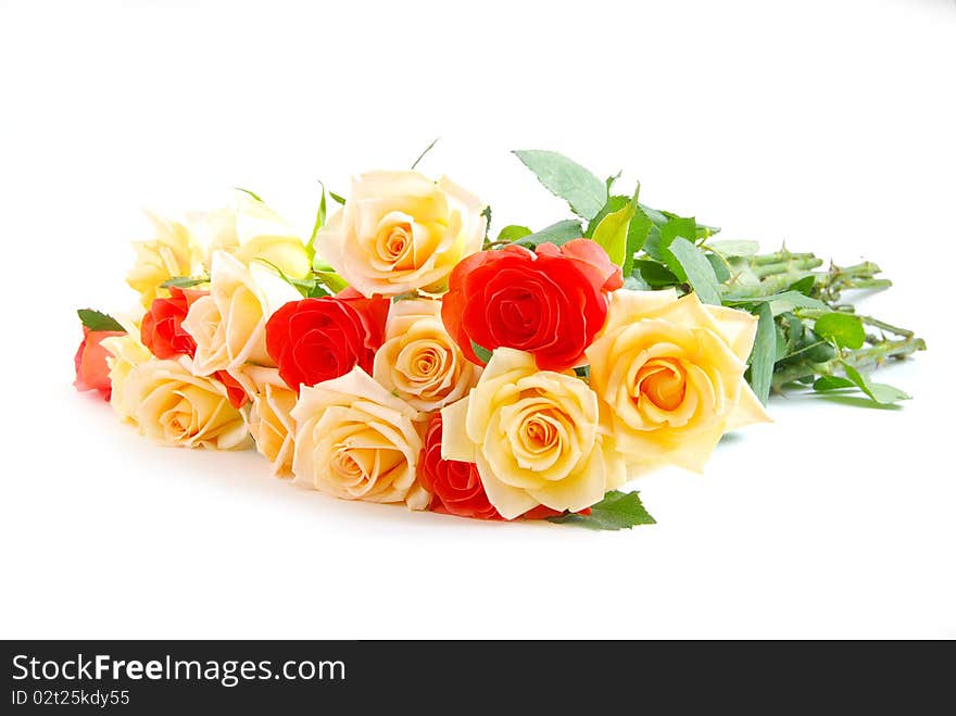 Red rose isolated on a white background