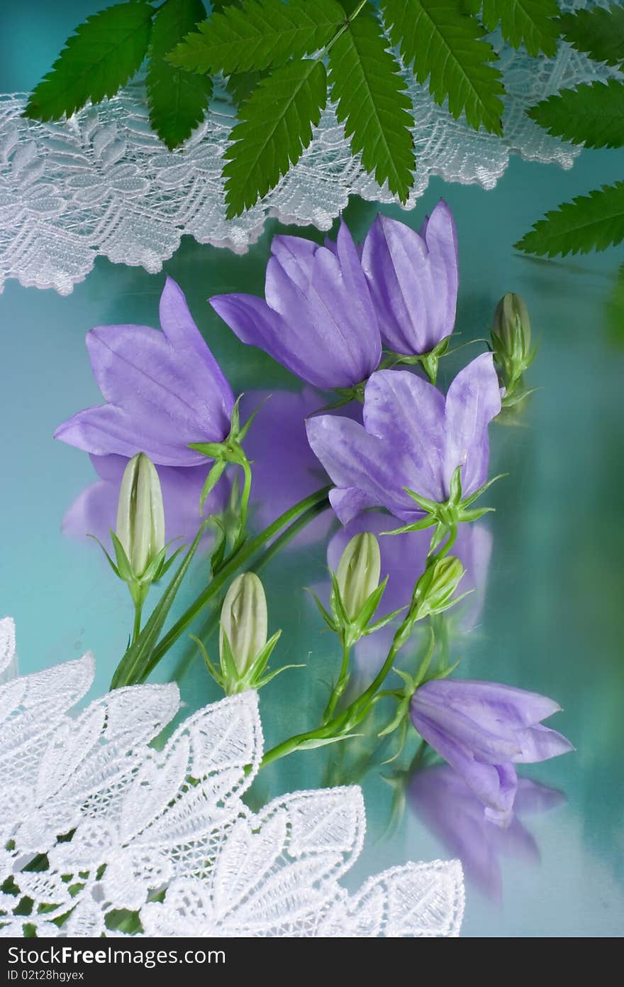 Bunch of flowers on a turquoise background. Bunch of flowers on a turquoise background