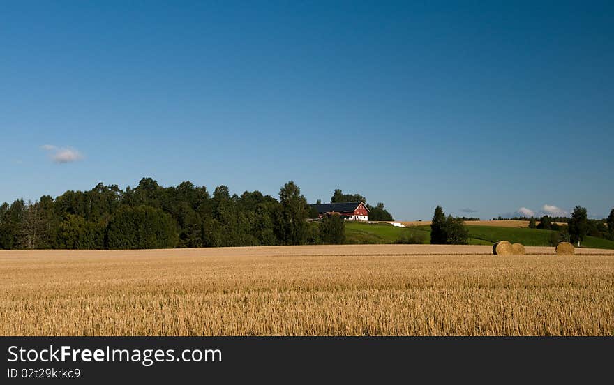 Landscape