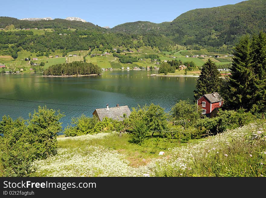 Countryside and fields in Hardangerfjord area of Norway. Countryside and fields in Hardangerfjord area of Norway