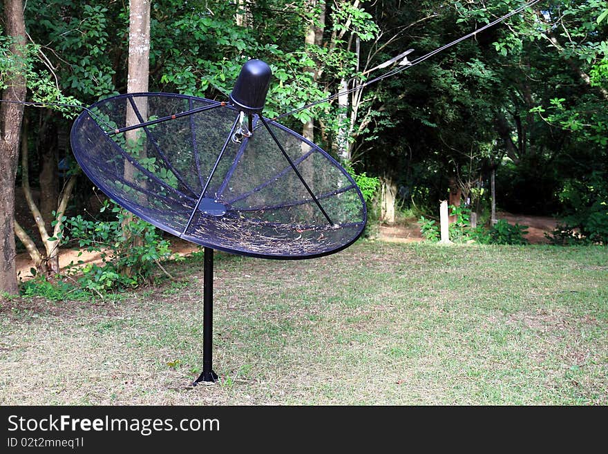 Satlellite Dish in the yard