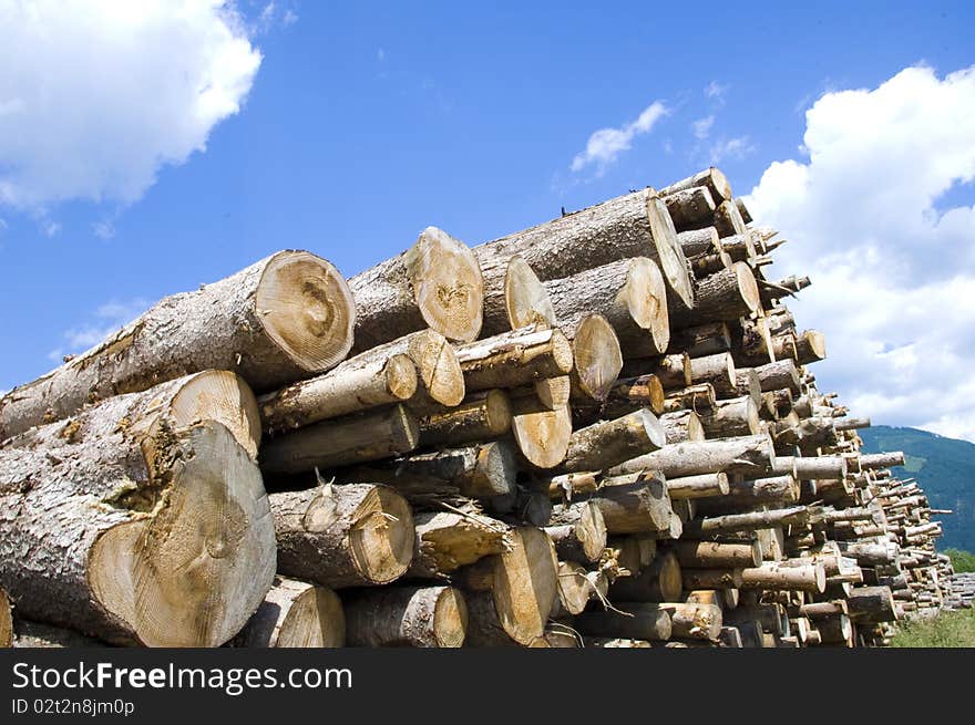 Shot of woodpile beyond blue cloudy sky.