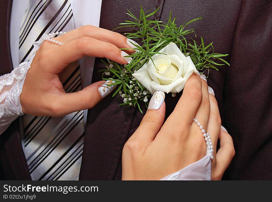 Hands Fiancee On The Buttonhole Of Groom